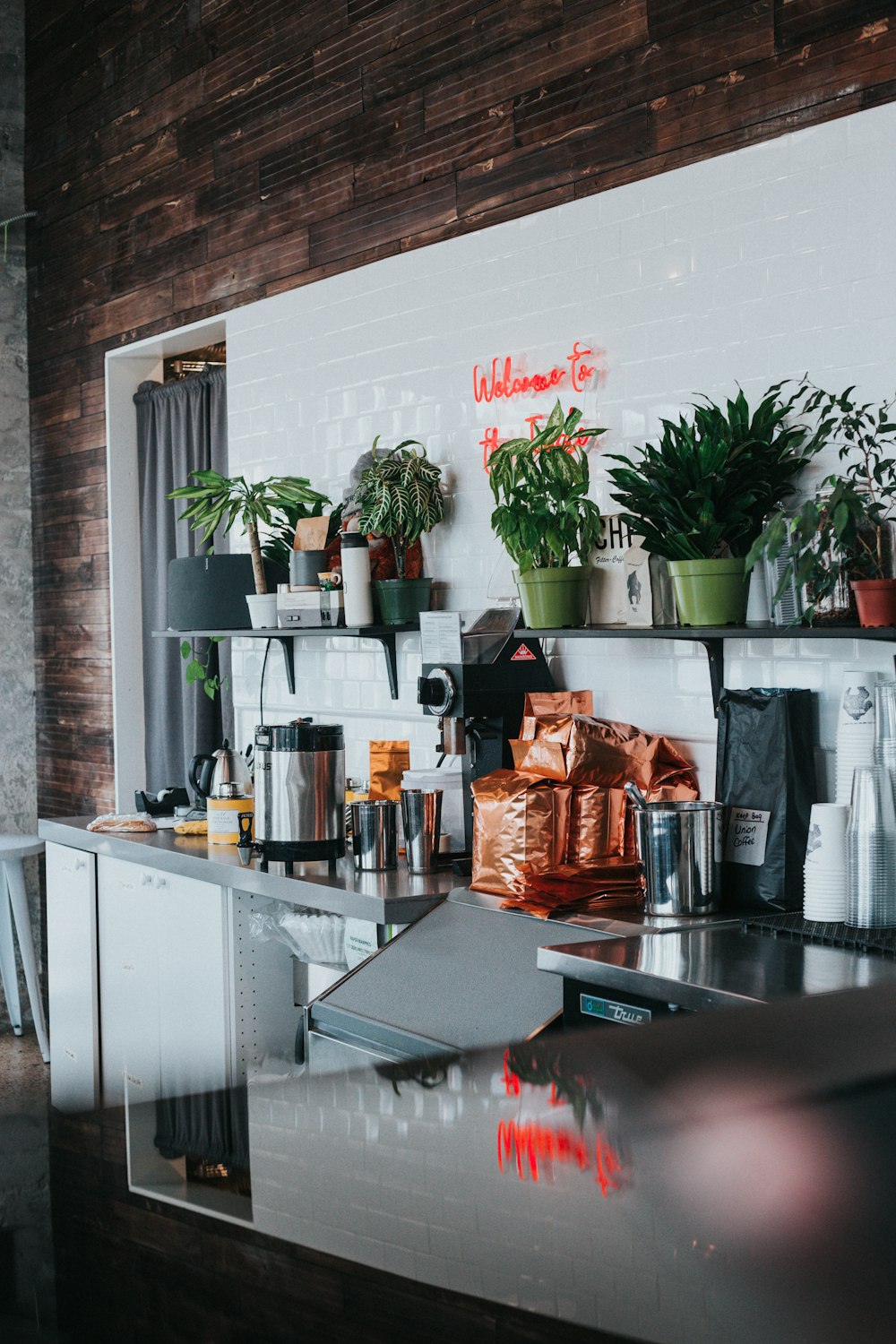 green leaf plants in pots on wooden floating shelf