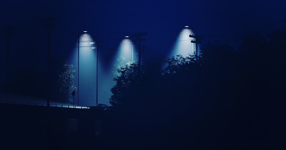 lighted outdoor lights of building near green plants