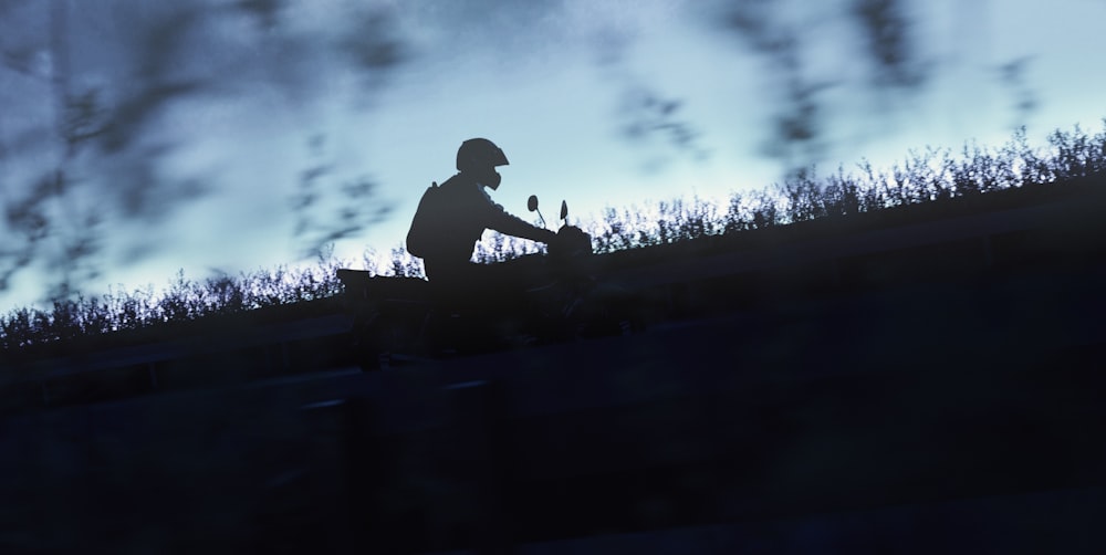 silhouette of person riding motorcycle near plants