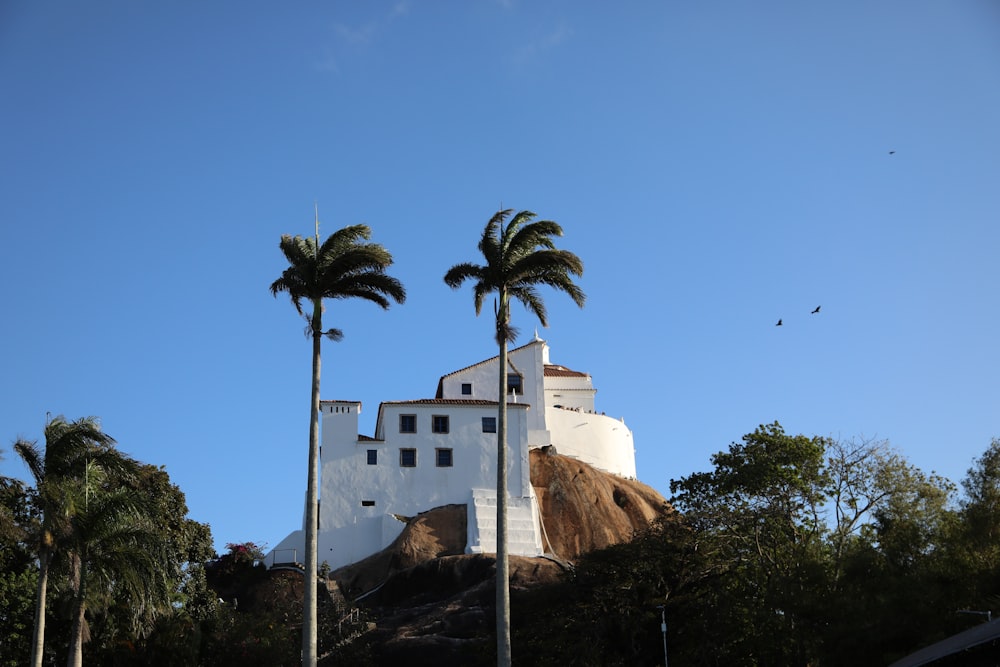 casa de concreto branco perto de coqueiros durante o dia