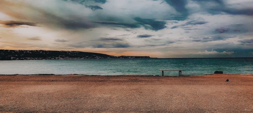 sand seashore during day