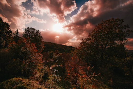 trees and clouds during day in Iaal Lebanon