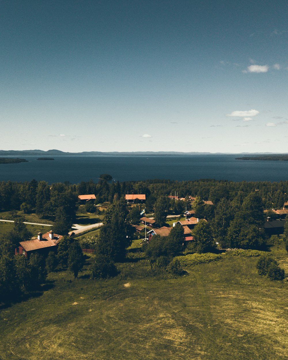 green-leafed trees and house near sea during daytime