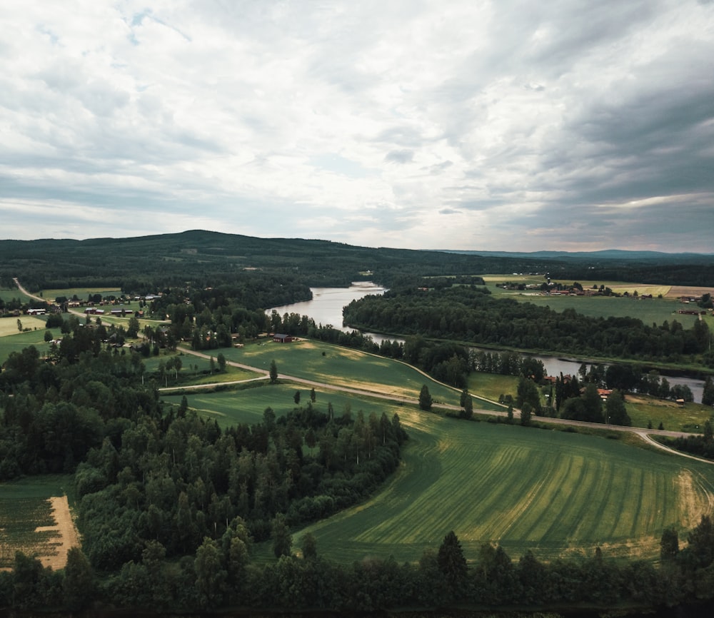 aerial photography forest and lake during daytime