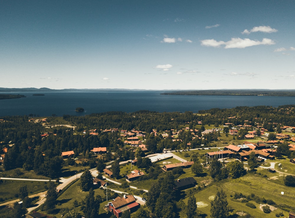 aerial photography of tree and house near sea during daytime