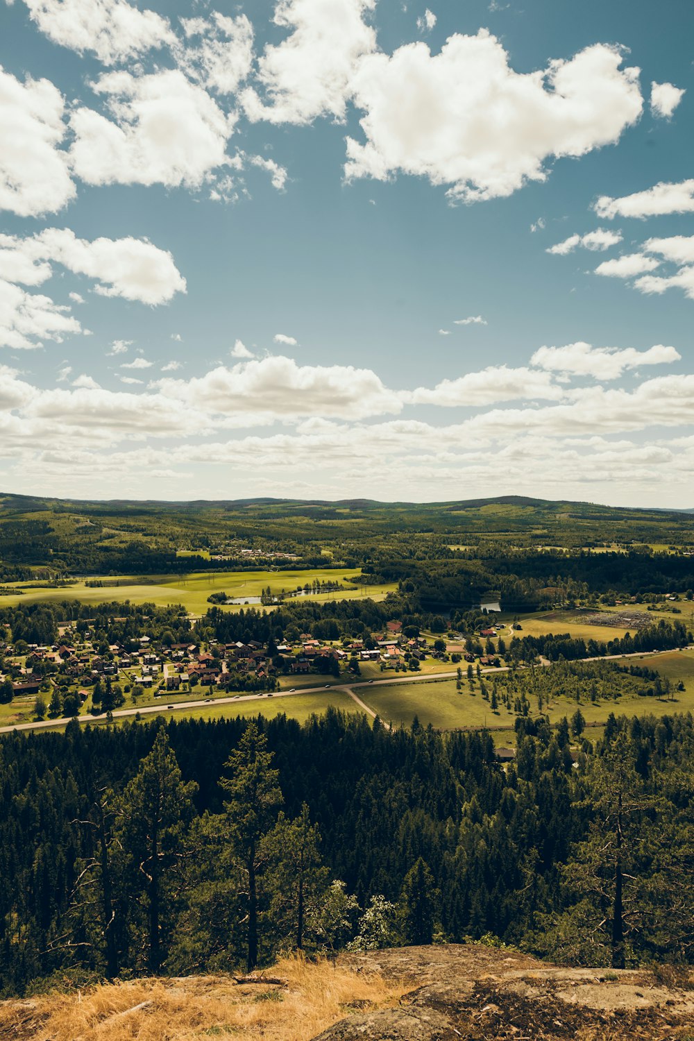 forest, grass, roads, and buildings during day