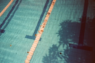 A swimming pool with clear blue water and tiled lanes, featuring lane dividers and some scattered leaves. Shadows of surrounding trees or foliage cast patterns across the water, adding a layer of depth and texture.