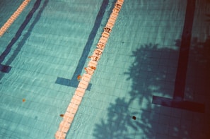 A swimming pool with clear blue water and tiled lanes, featuring lane dividers and some scattered leaves. Shadows of surrounding trees or foliage cast patterns across the water, adding a layer of depth and texture.