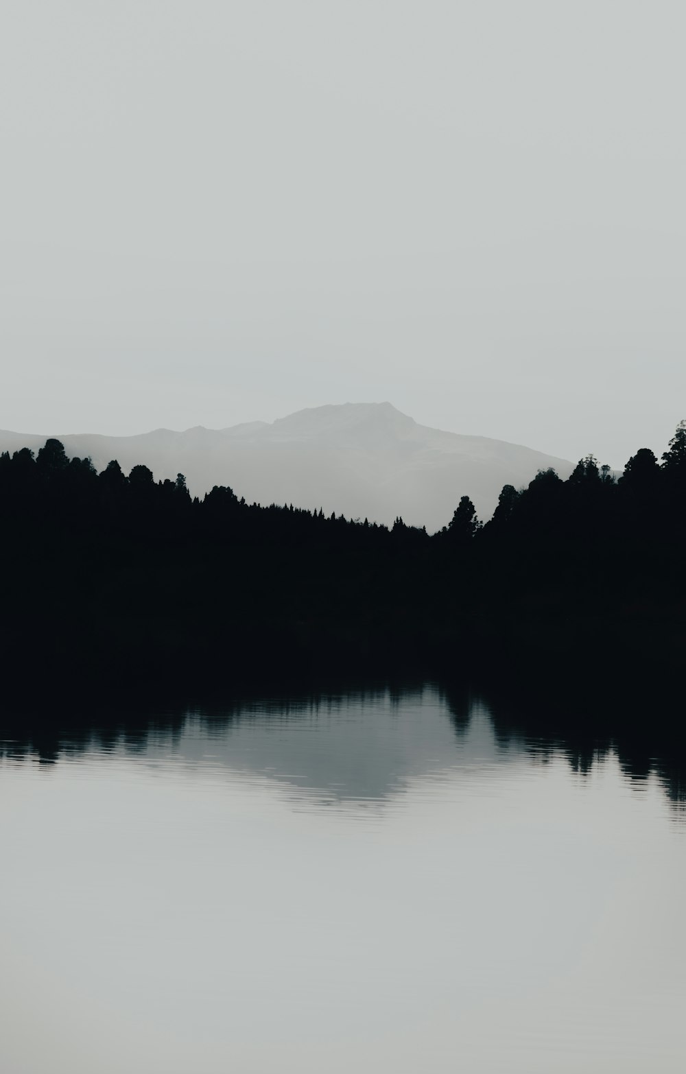 Fotografía en escala de grises de un cuerpo de agua que ve la montaña