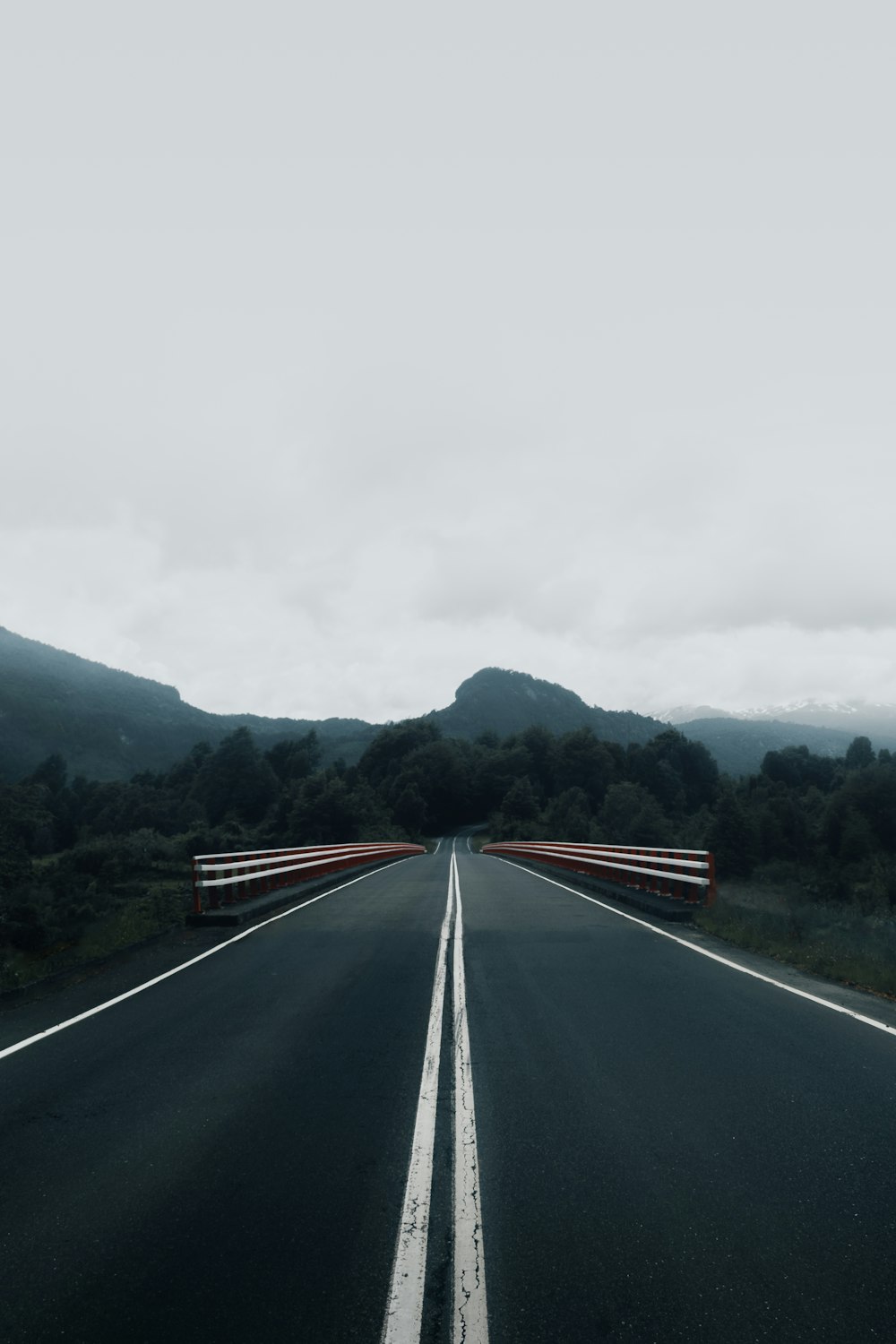 road near trees during day