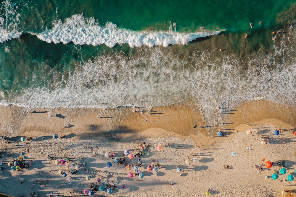 crowd on seashore during daytime