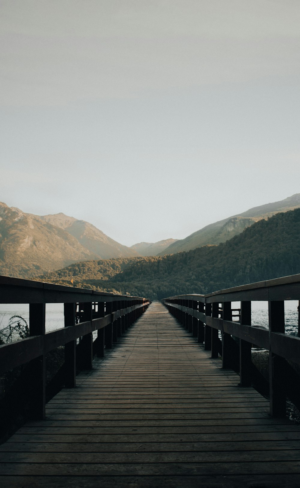 brown wooden dock during day