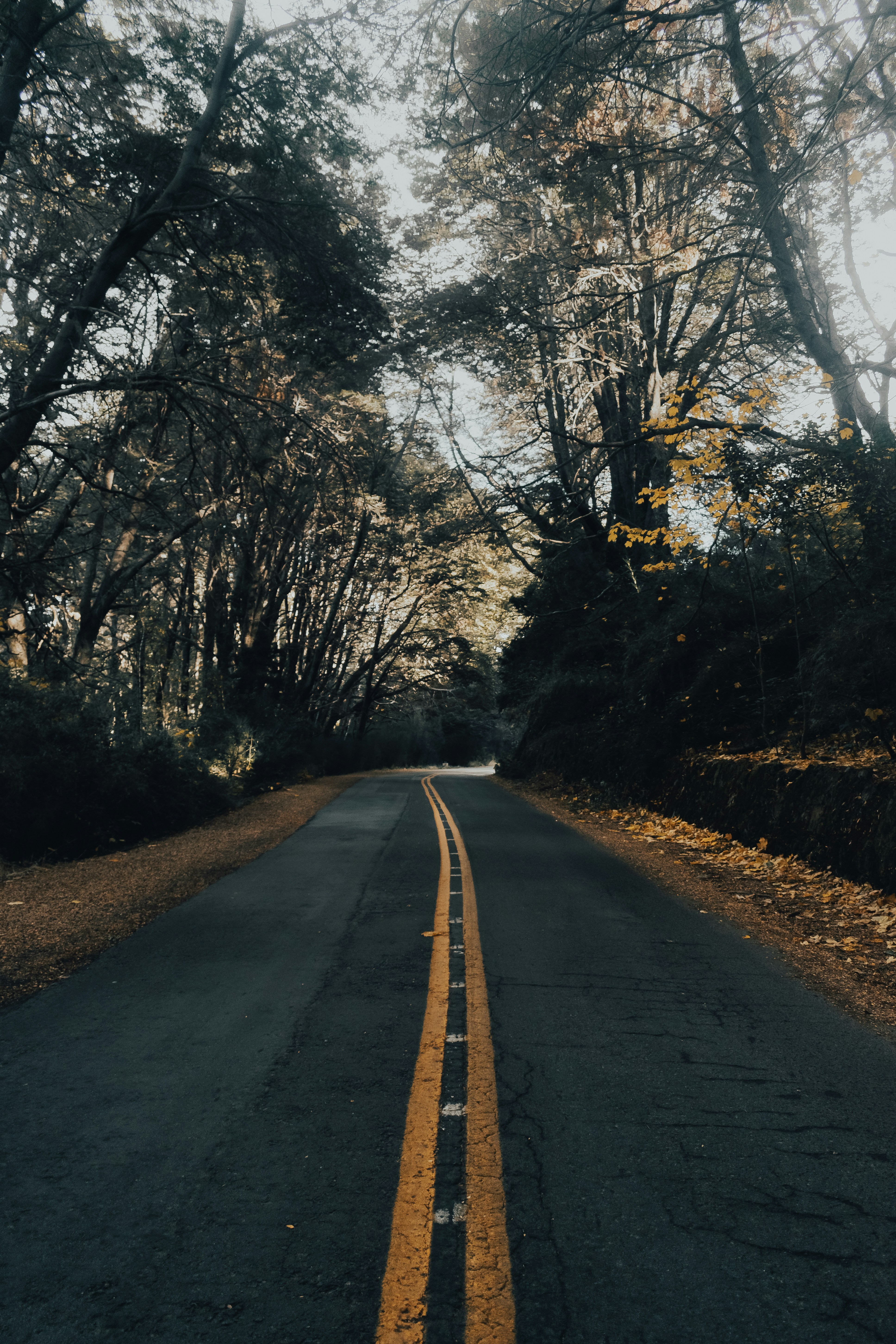 Photo by gasparzaldo