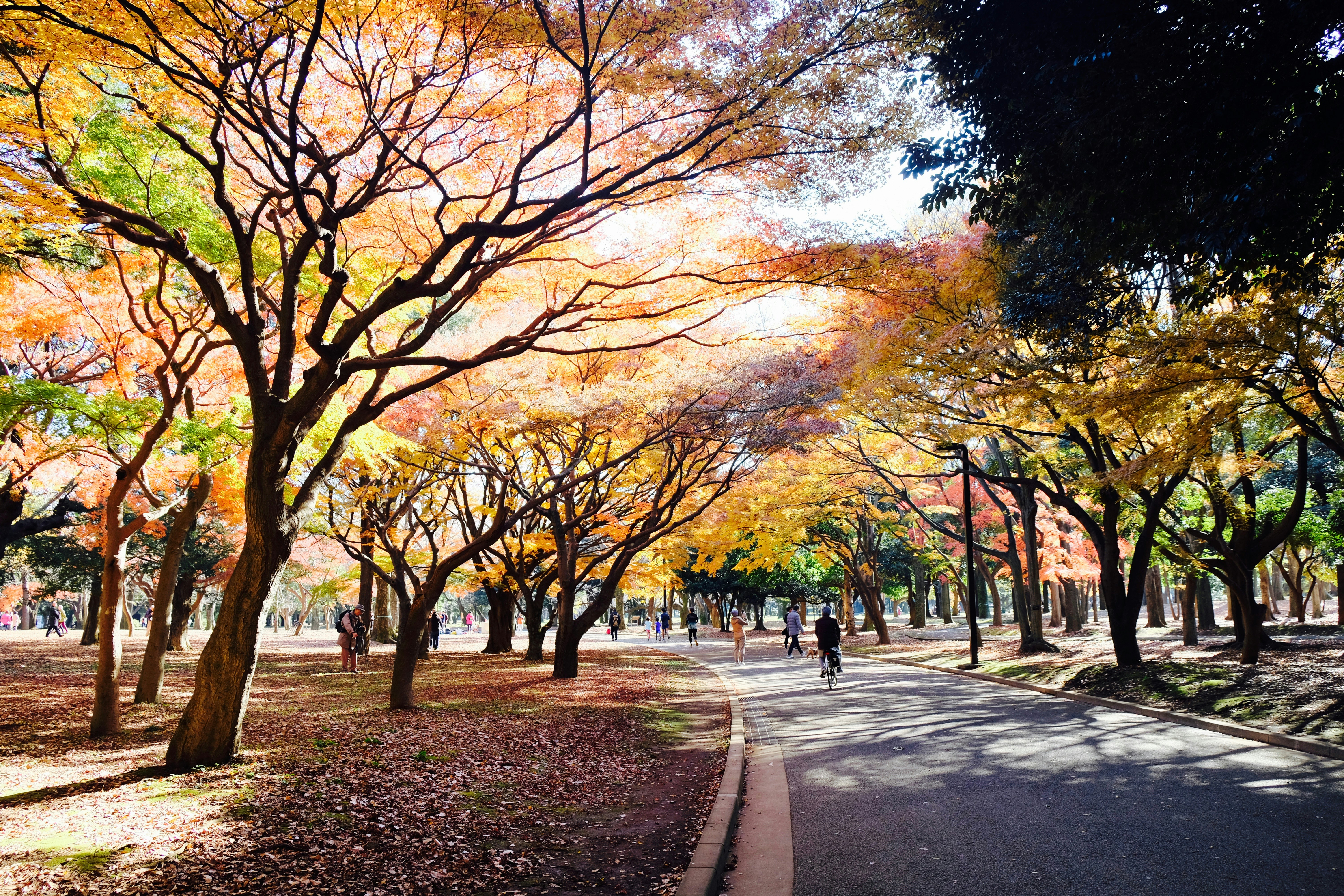 Photo by bluesky1609