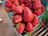 Fresh strawberries are displayed in green containers on a metal shelf. A price tag reading $4.99 is visible on one of the containers.
