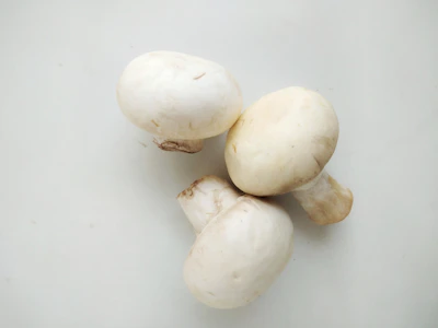 Milky mushrooms with their smooth caps displayed on a farm table