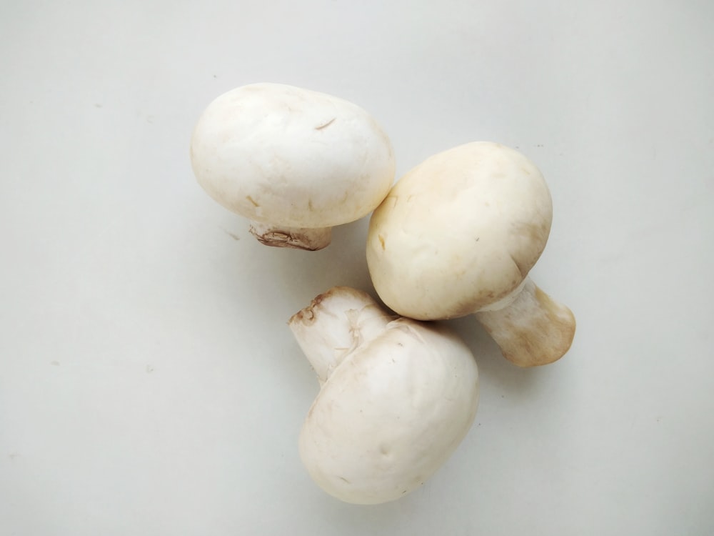 tre funghi bianchi