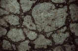 A close-up view of a cracked concrete surface with several irregular fissures. The surface shows scattered dried leaves and small debris, emphasizing the rough and rugged texture of the concrete.