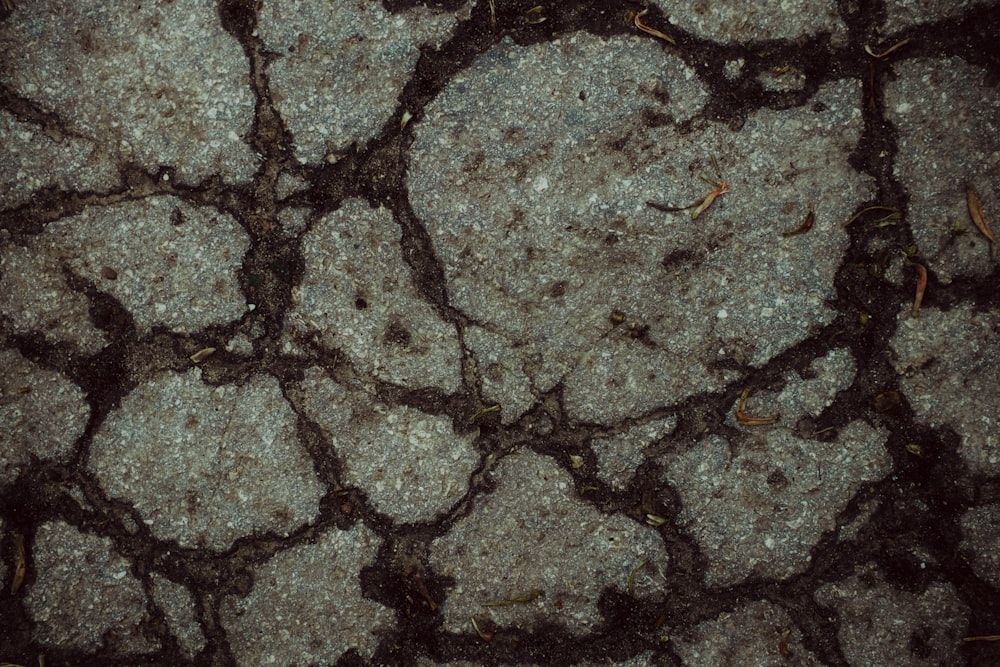 a close up of a rock with dirt on it