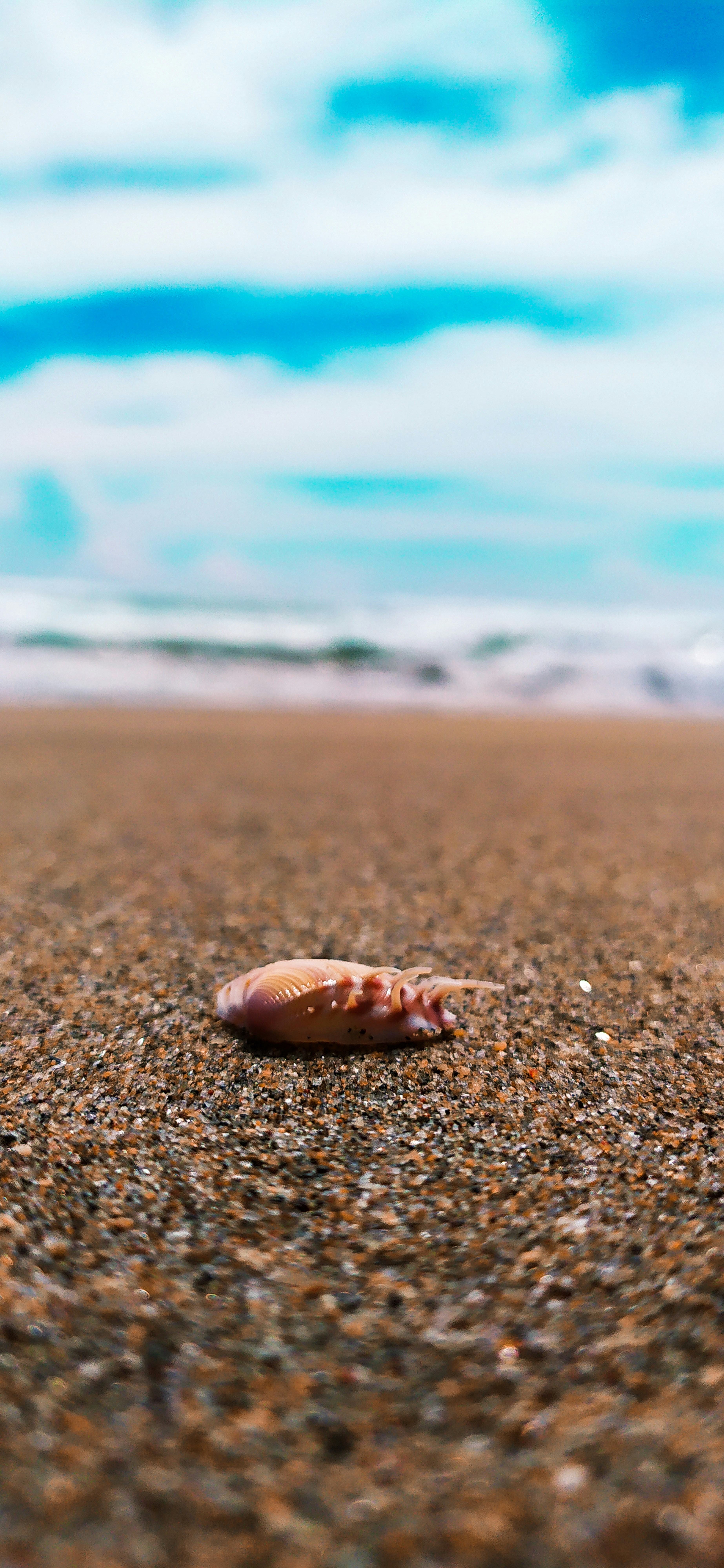 Photo by portafolio_cultural_mx