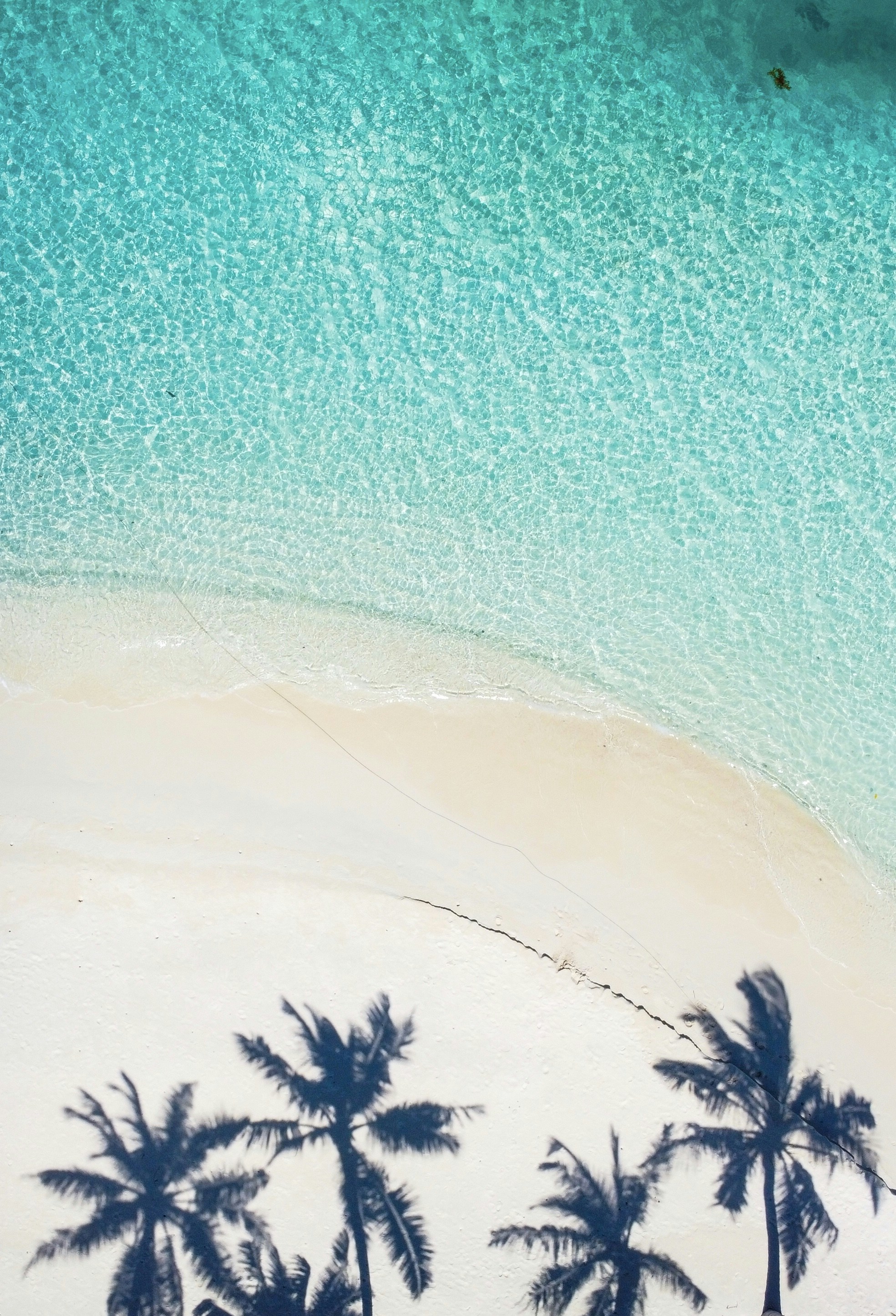 Seychelles Culture & Traditions: Local History, Customs, Festivals