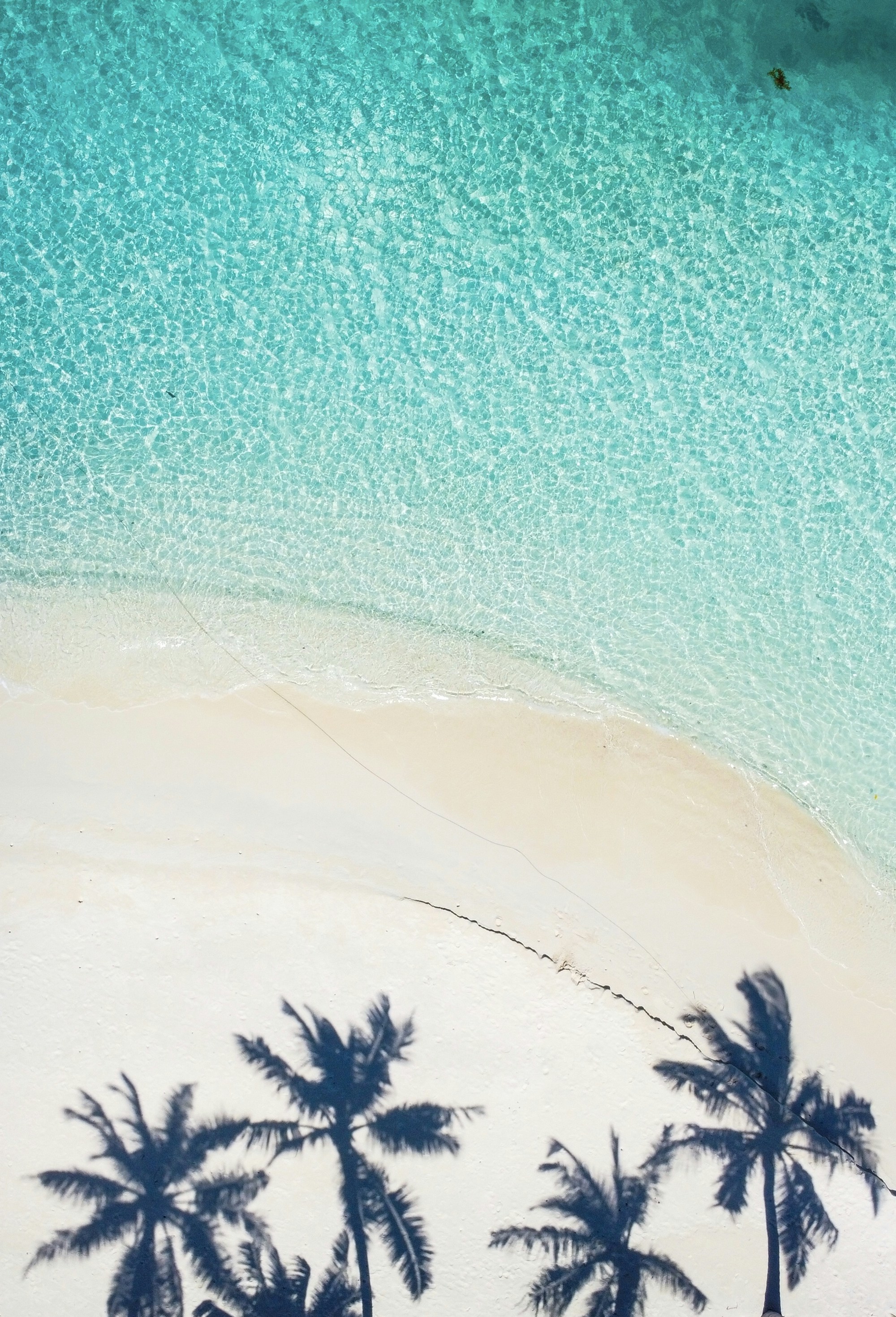 Seychelles Culture & Traditions: Local History, Customs, Festivals