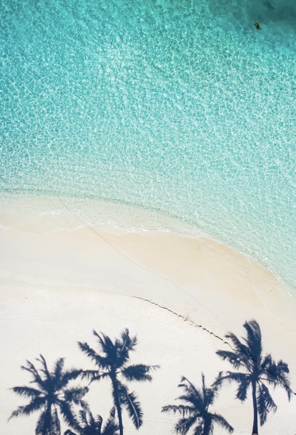 Seychelles Culture & Traditions: Local History, Customs, Festivals
