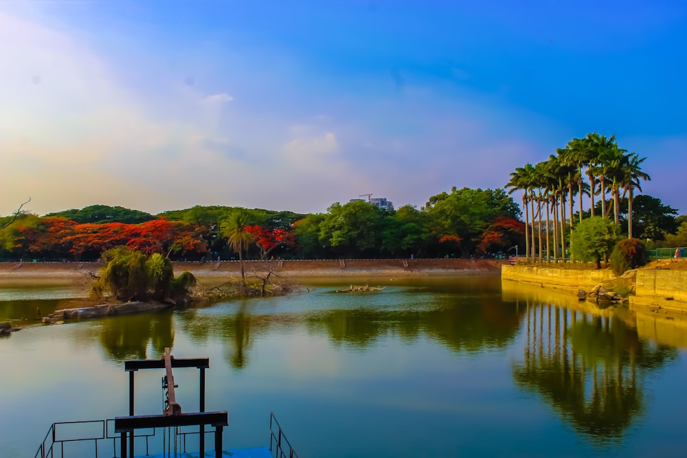 lake surrounded with green trees under white and blue sky