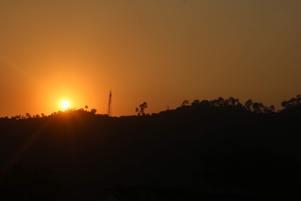 silhouette of trees during sunrise