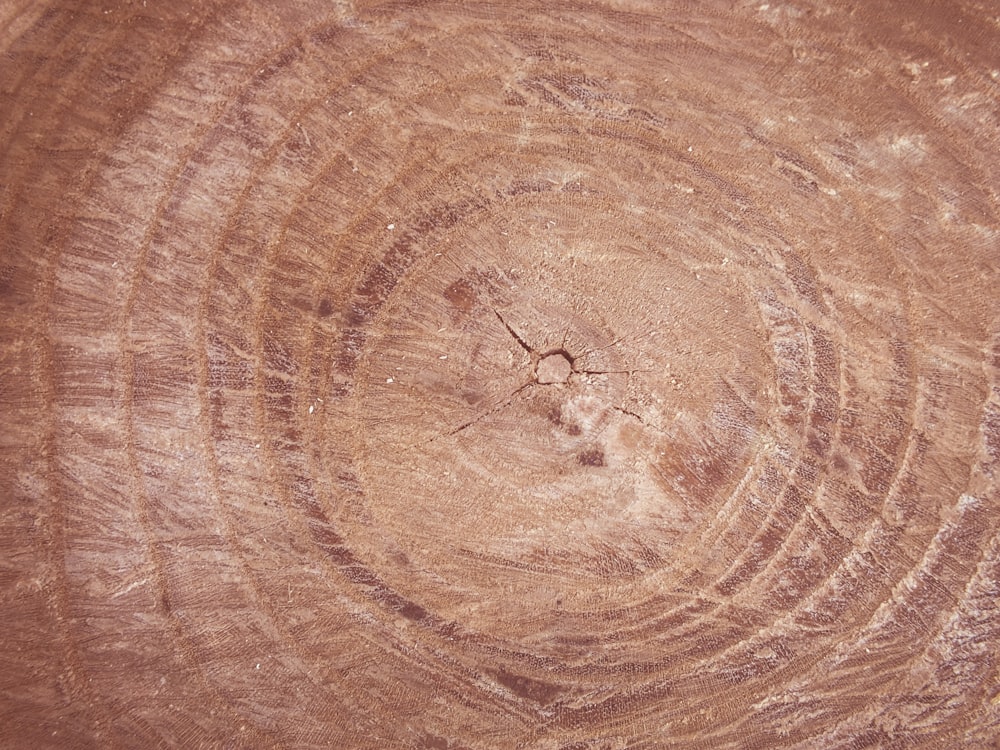 macro photography of brown plank