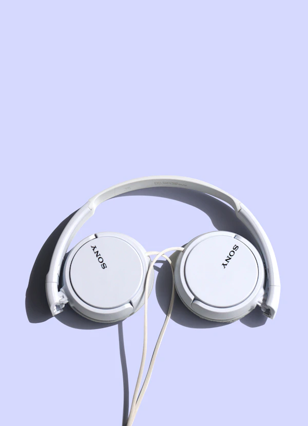 Noise-Cancelling Travel Headphones