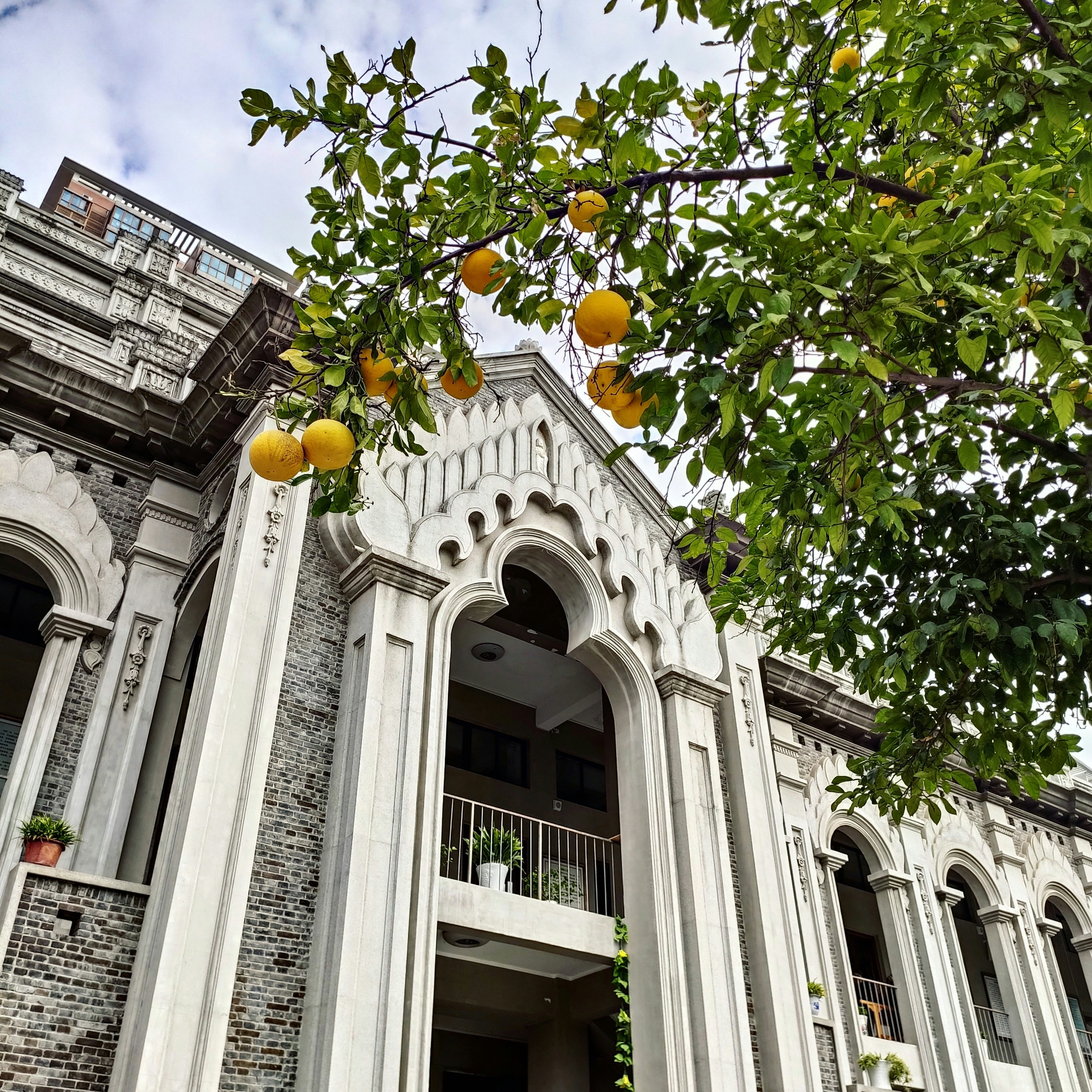orange fruits near white historic building under white and blue sky