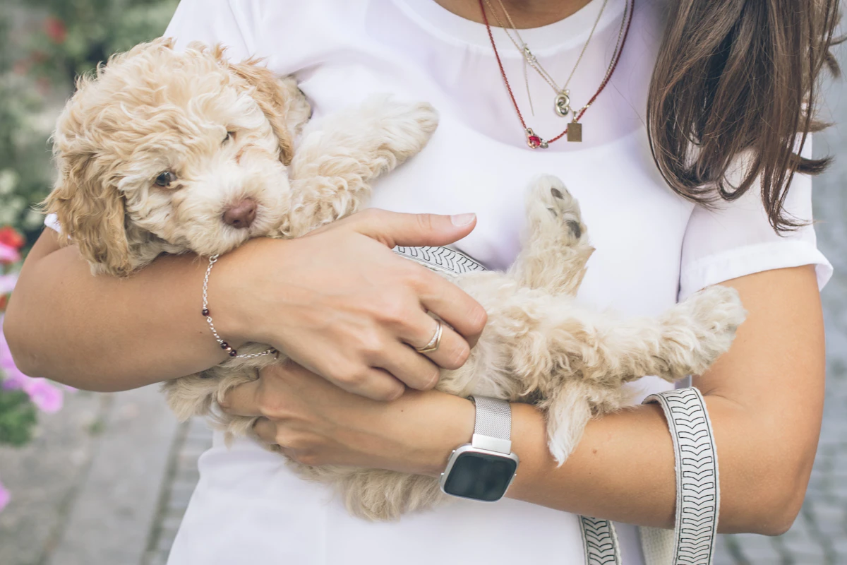 Why Messy Client Onboarding Costs Veterinary Clinics in 2026