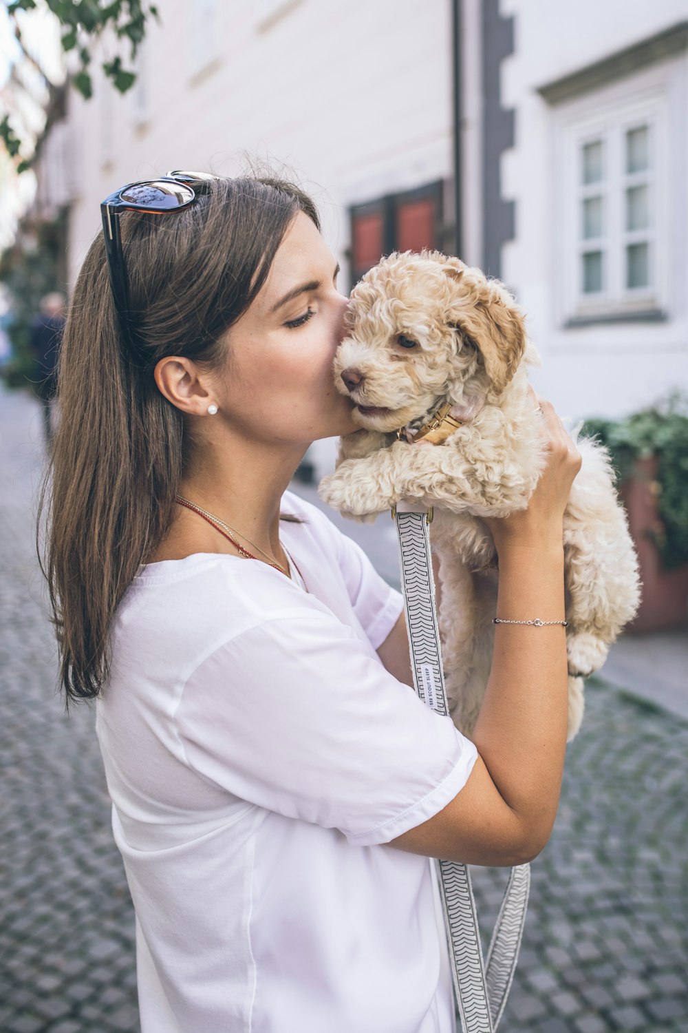 茶色の子犬にキスをする白いシャツを着た女性