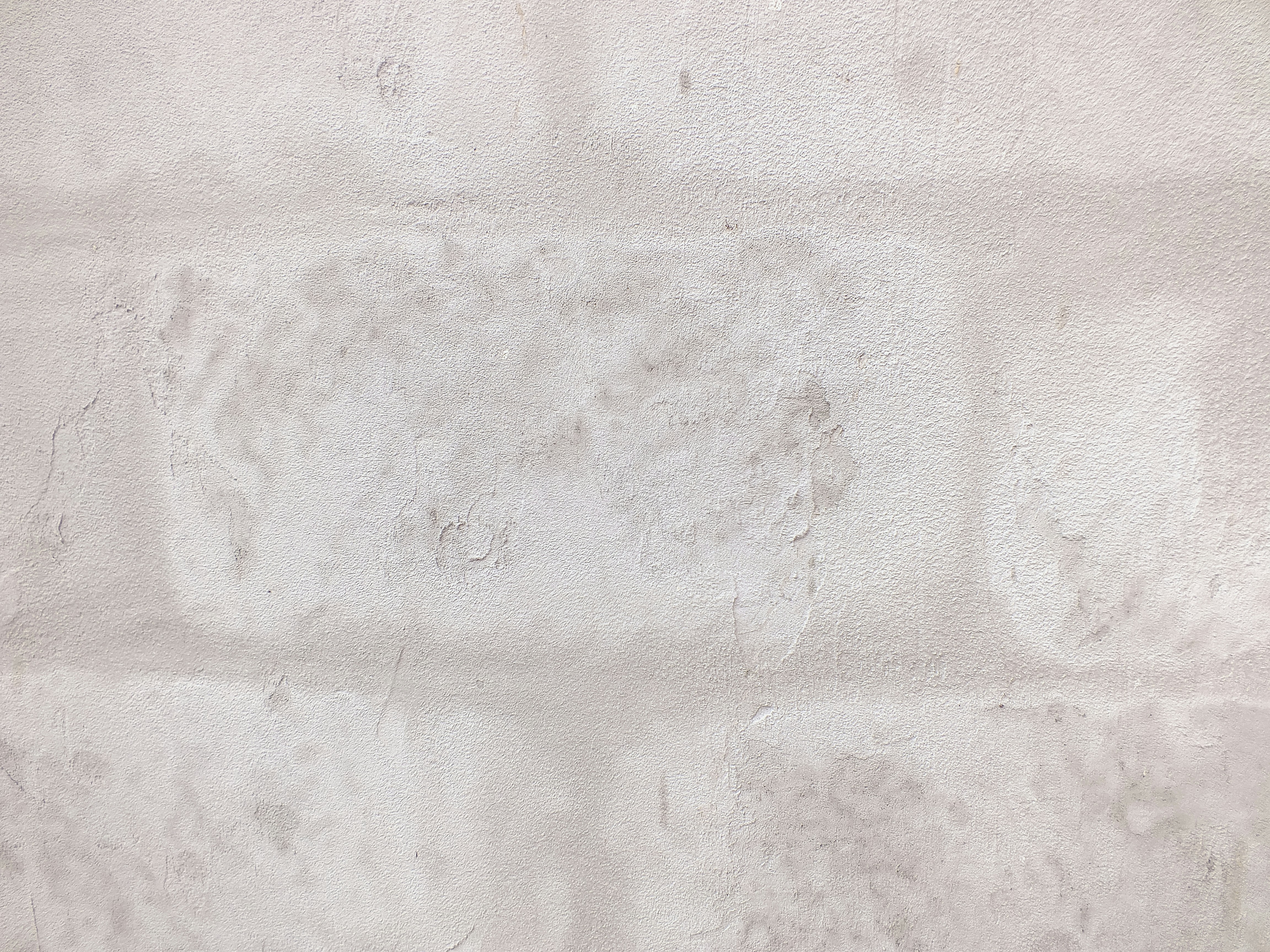 CryptoNeur Network foundation header image