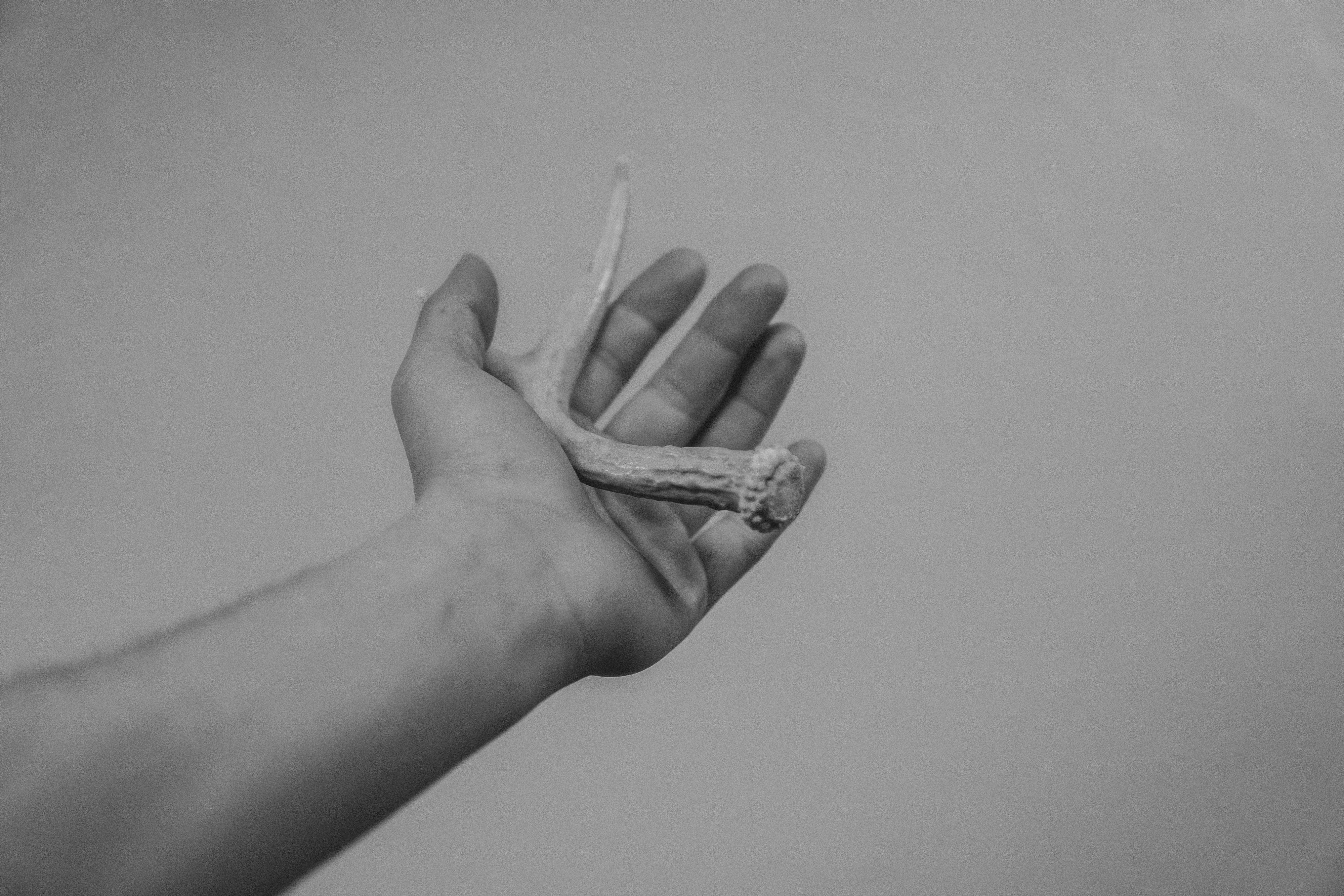 Photo by bitter_fruitt