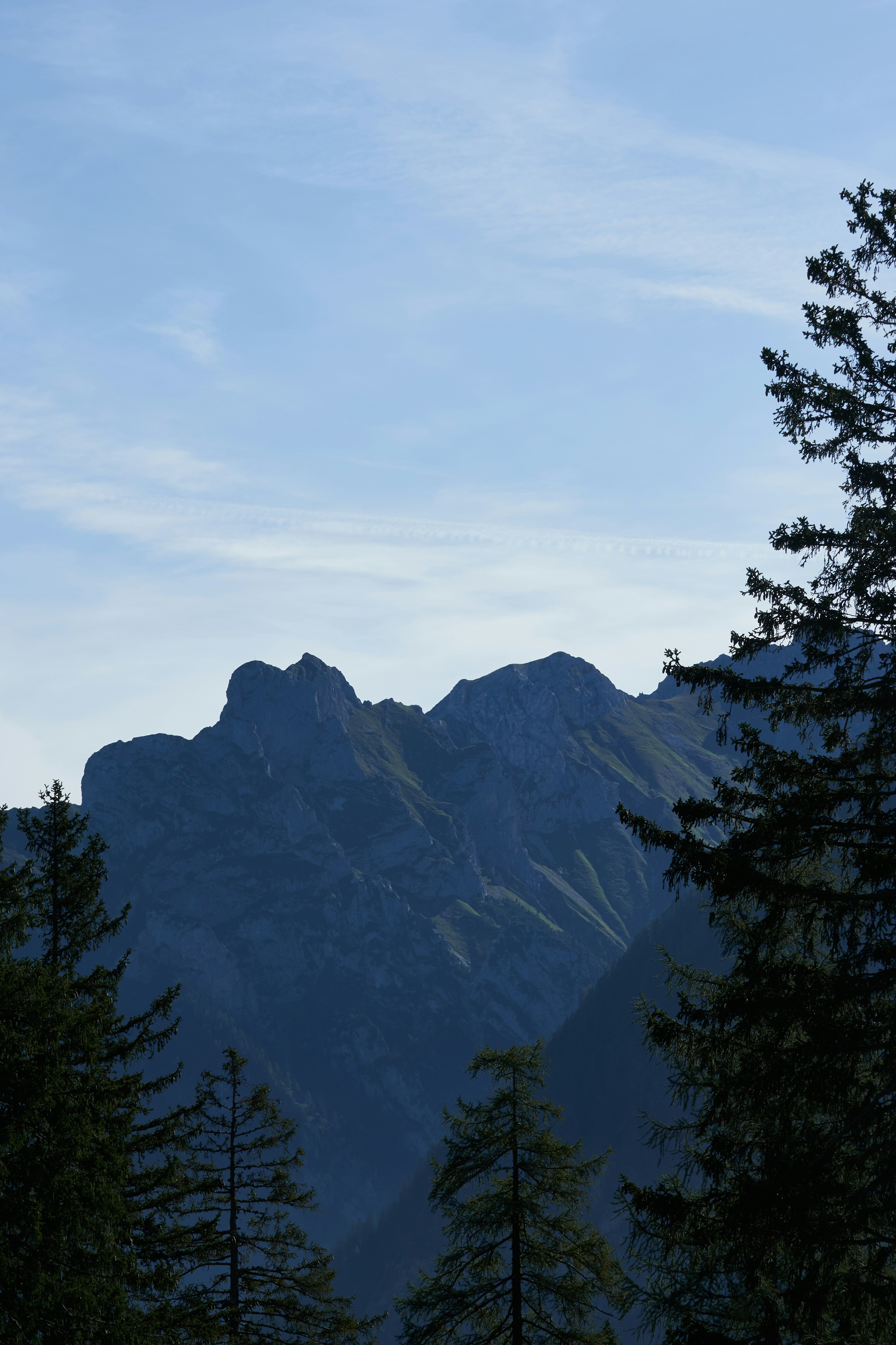 Photo by wolfgang_hasselmann