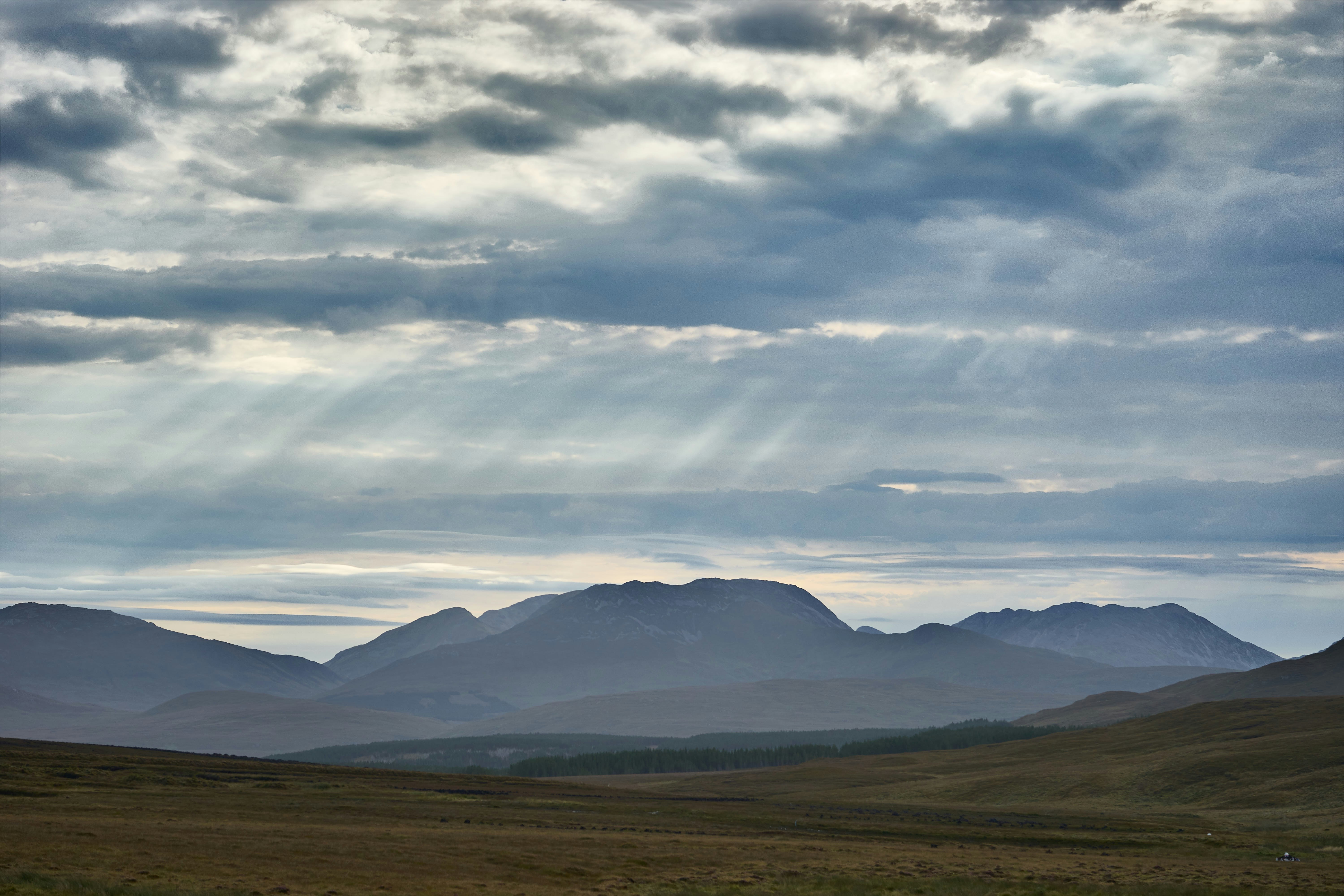 Photo by wolfgang_hasselmann