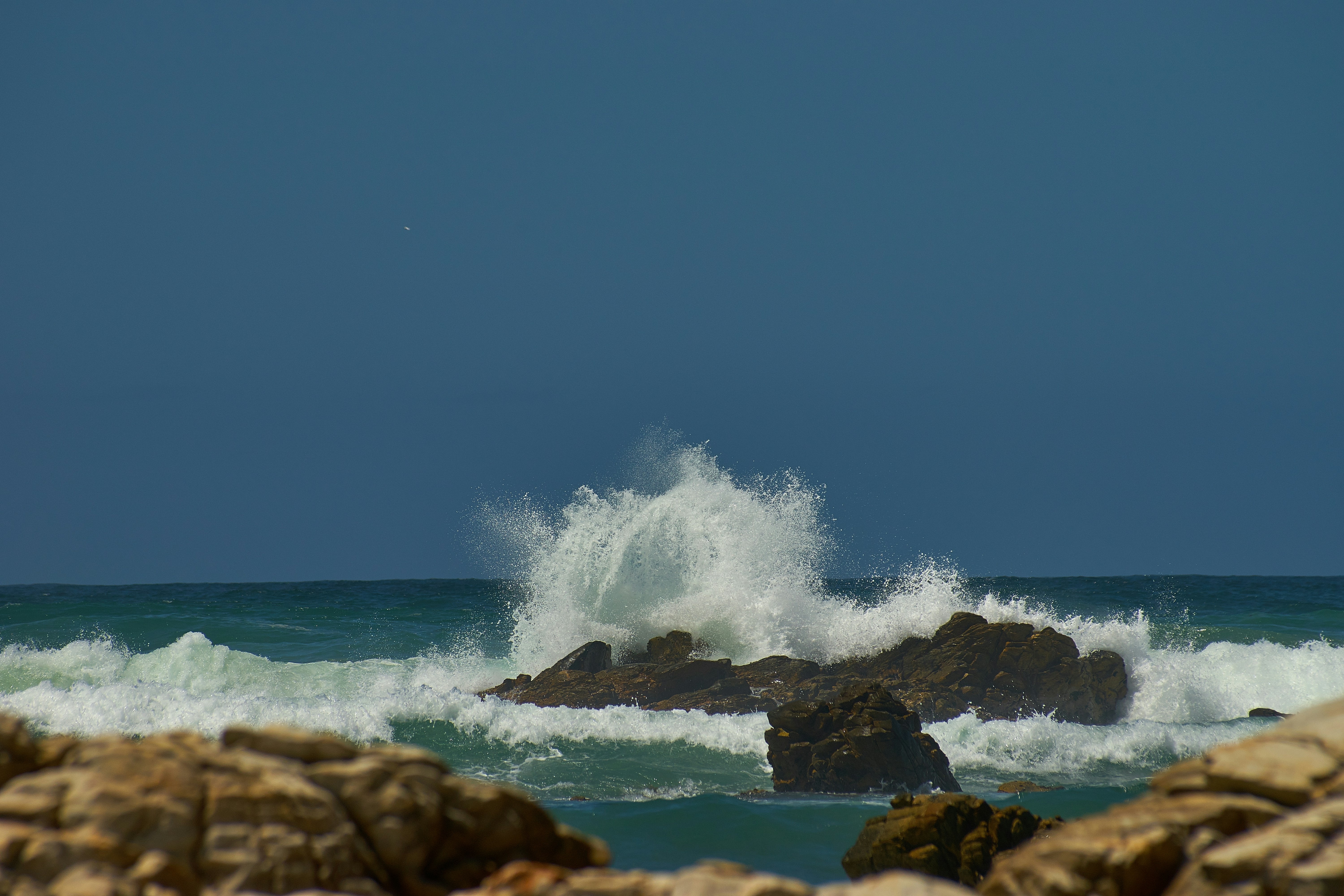 Photo by wolfgang_hasselmann