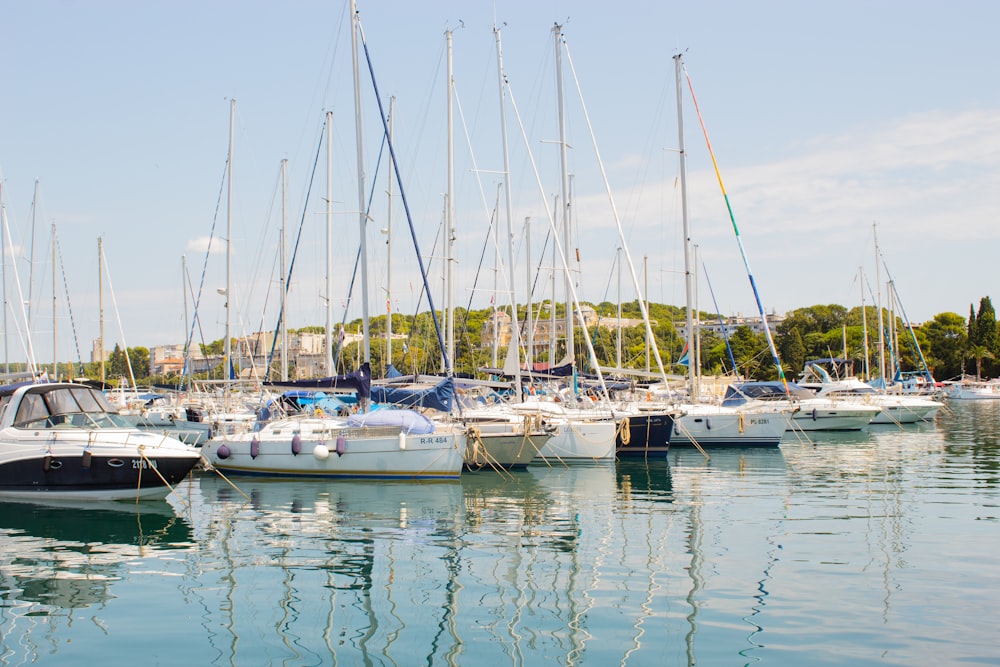 Verschiedene Yachten auf dem Gewässer unter weißem und blauem Himmel