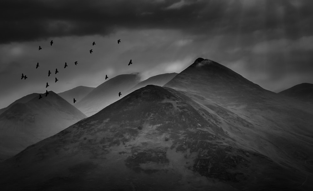 grayscale photography of mountain and birds flying in the sky