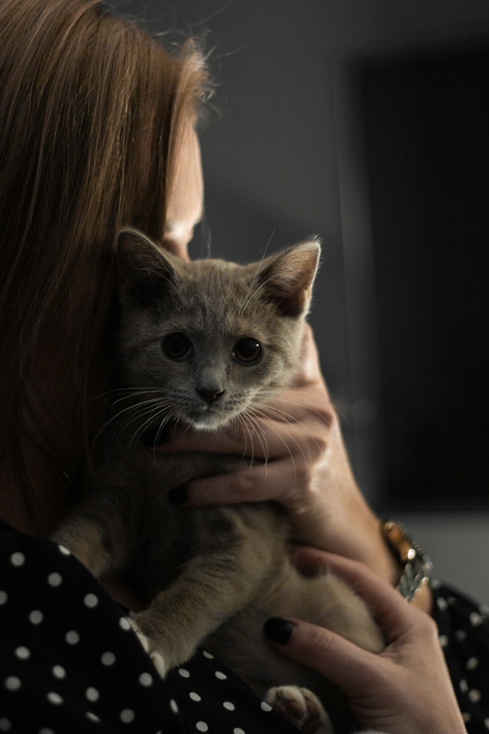 selective focus photography of person holding cat