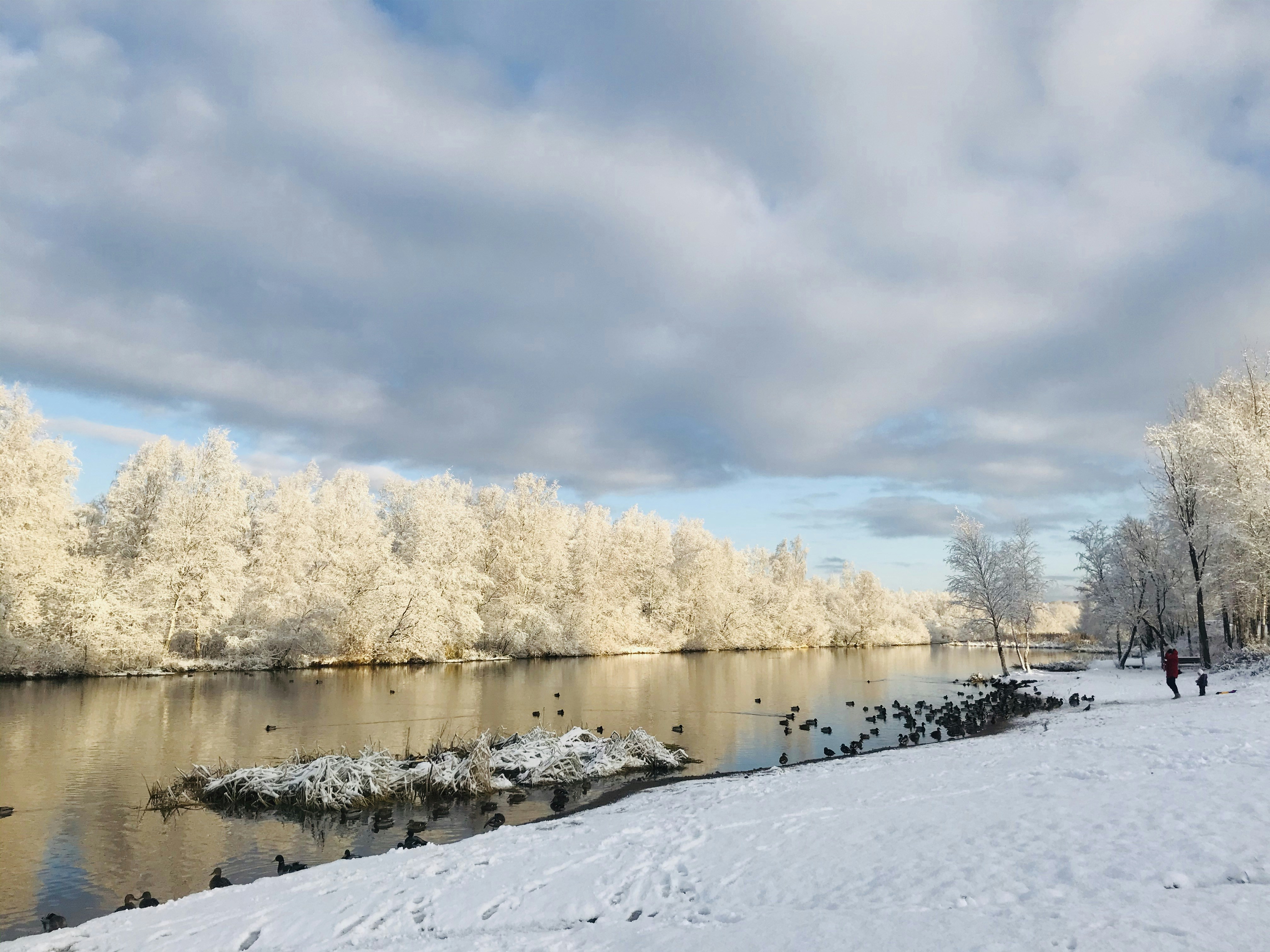 Photo by masha_shvedun