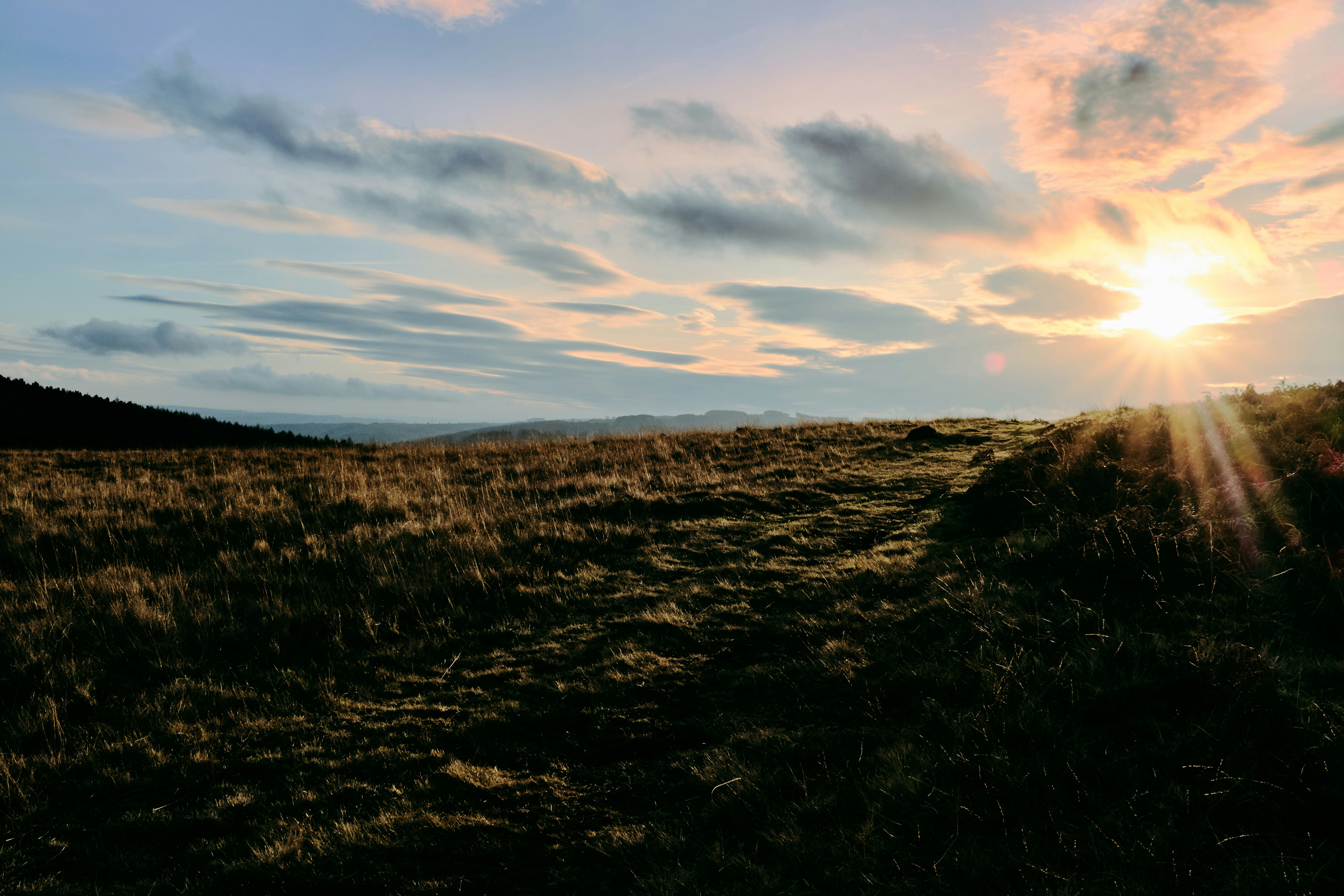 Photo by artifactflash