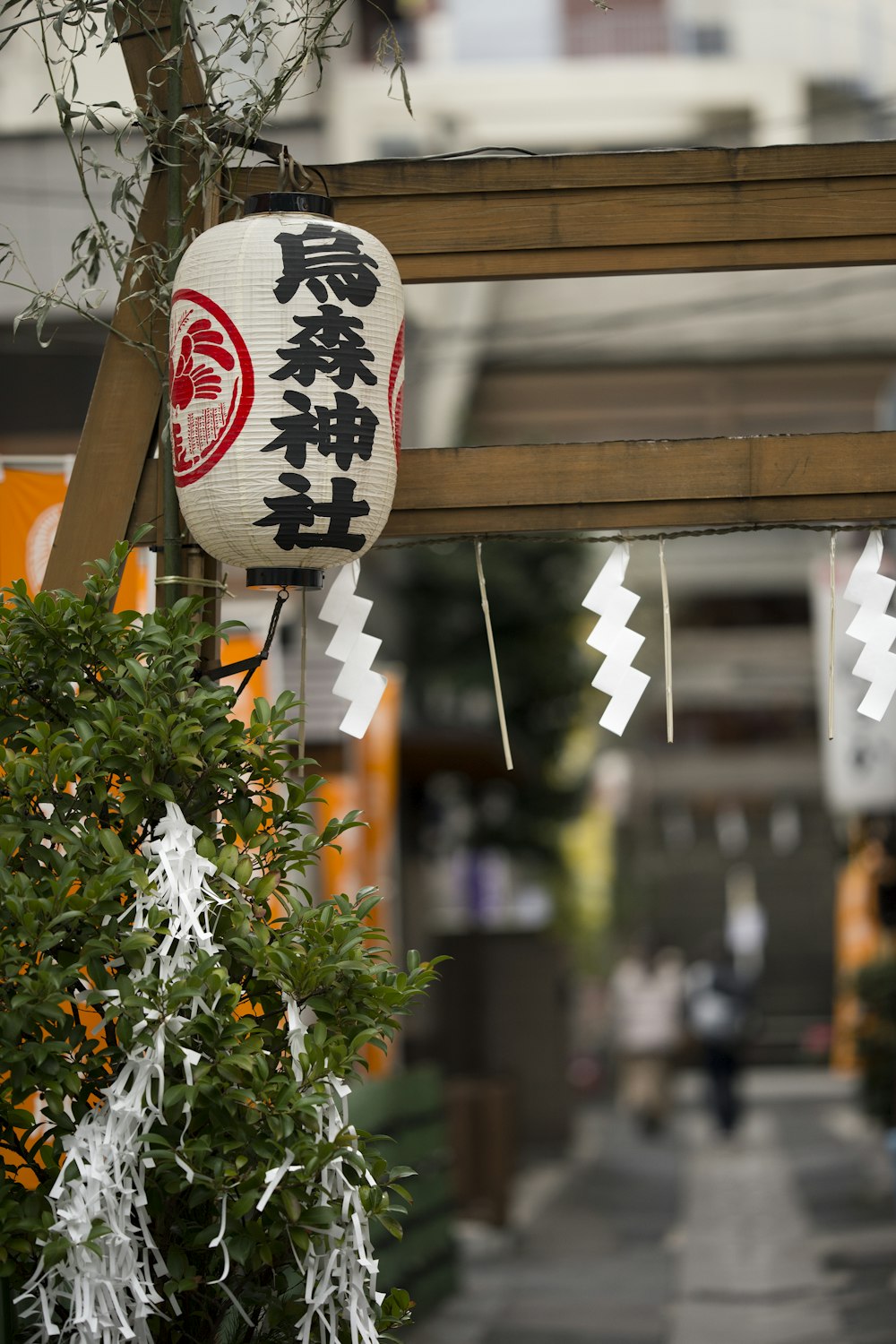 white and black Chinese lantern hanged on ree