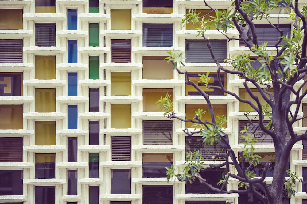 Árbol verde al lado del edificio