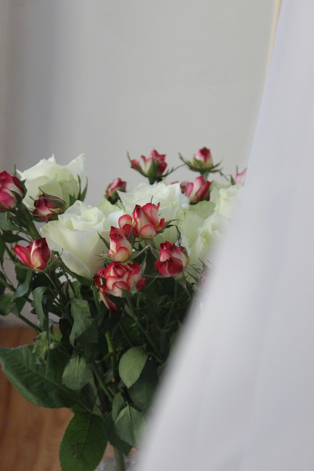 selective focus photography of white and pink petaled flower centerpiece beside wall