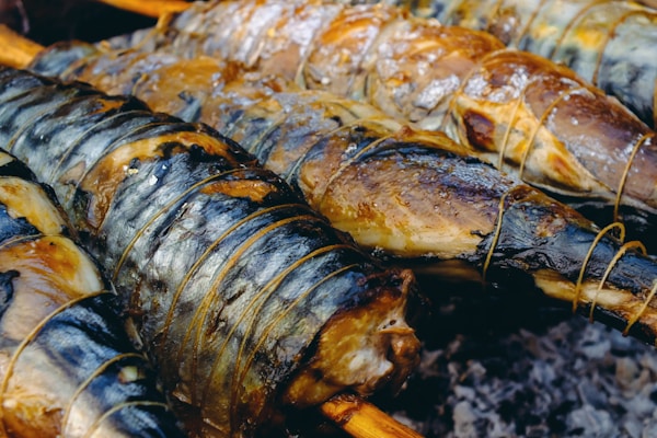 Grilled fish