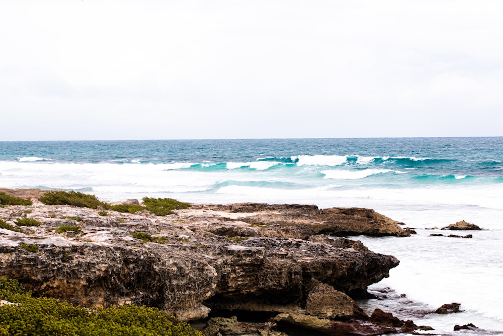 waves on coastal rock during daytime