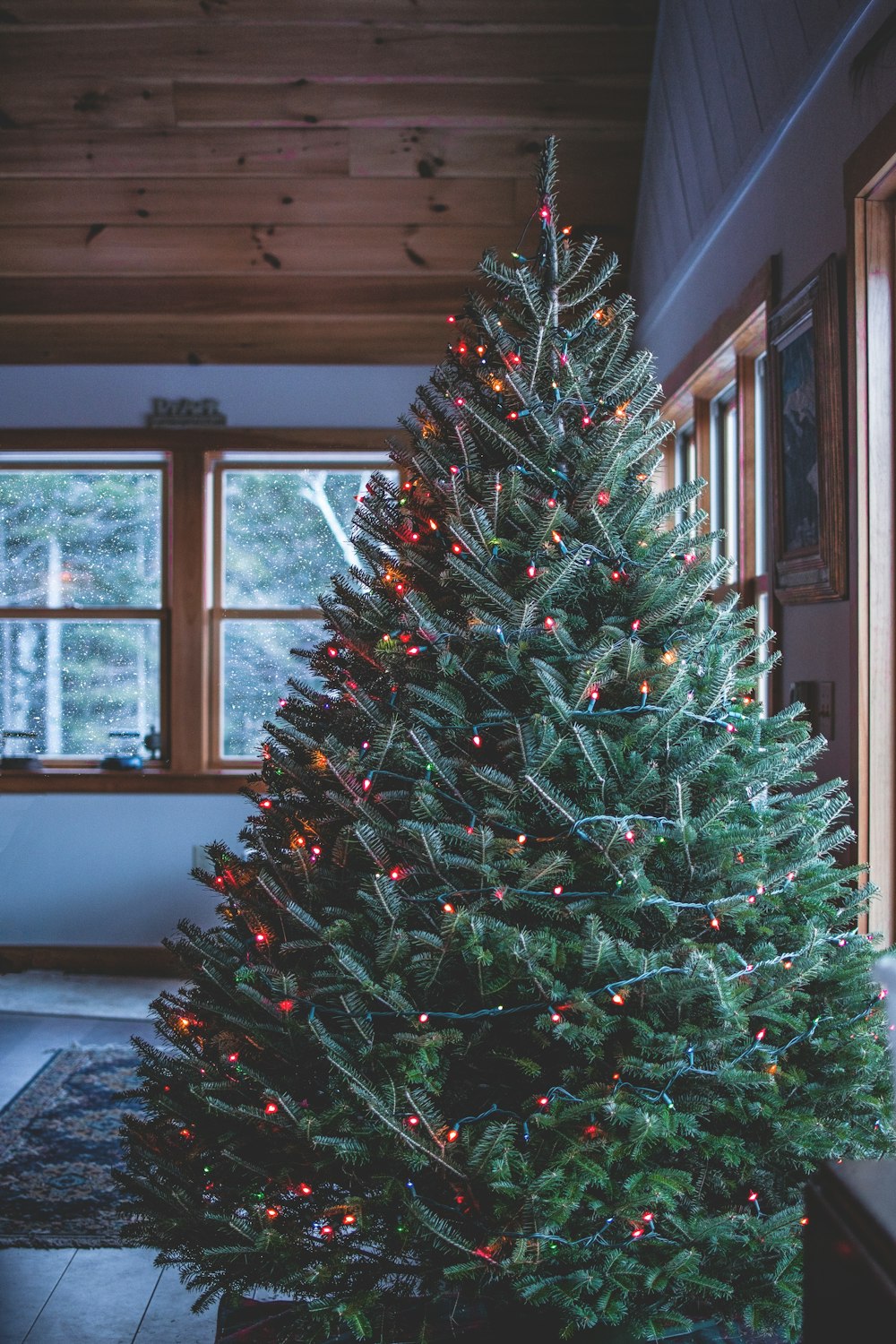 green Christmas tree